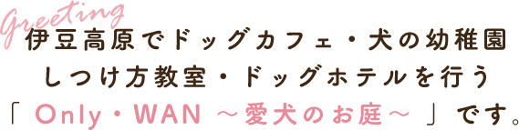 伊豆高原でドッグカフェ・犬の幼稚園 しつけ方教室・ドッグホテルを行う 「 Only・WAN ～愛犬のお庭～ 」です。