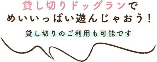 貸し切りドッグランで めいいっぱい遊んじゃおう！