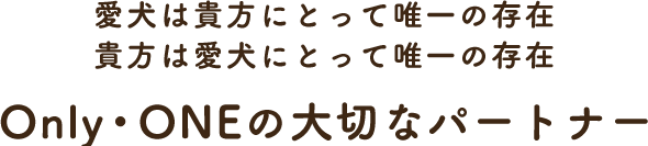 愛犬は貴方にとって唯一の存在 貴方は愛犬にとって唯一の存在 Only・ONEの大切なパートナー