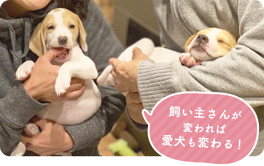 飼い主さんが変われば愛犬も変わる！