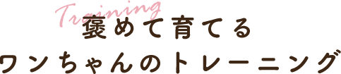 褒めて育てる ワンちゃんのトレーニング